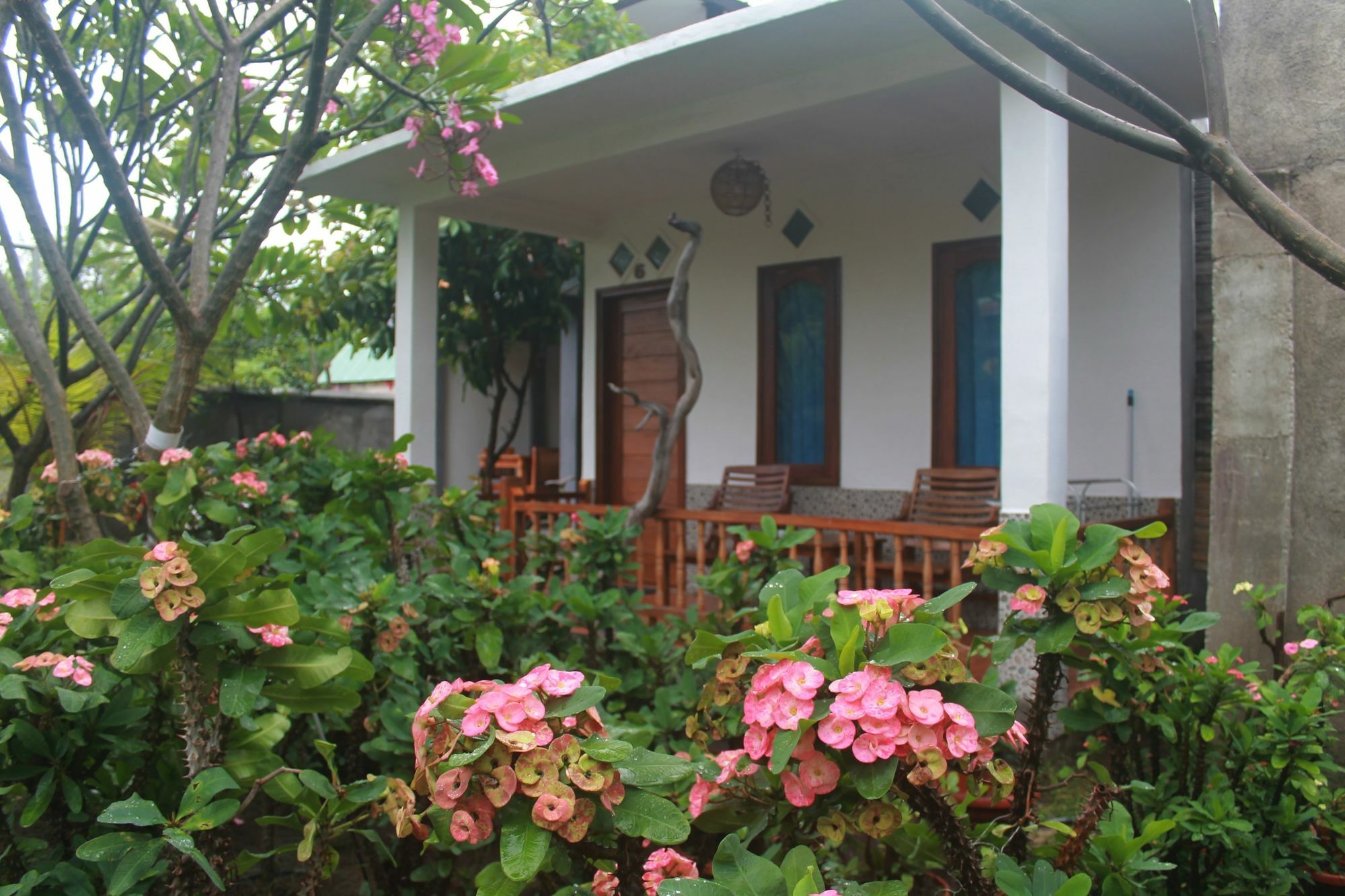 Santigi Homestay Гілі-Аїр Екстер'єр фото